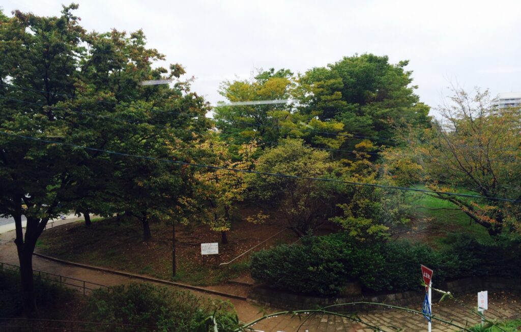 院内からの景色