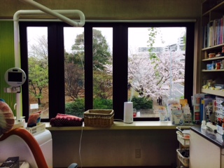 診療室から見える景色