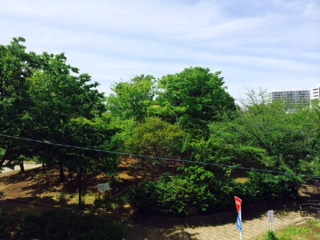 衣替えの季節です