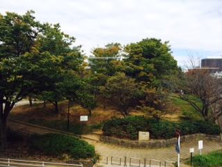 最近寒い日が続いております