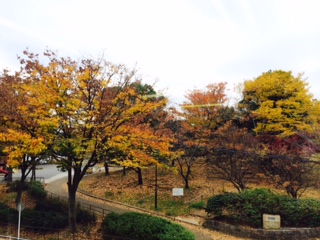 暦の上では冬！