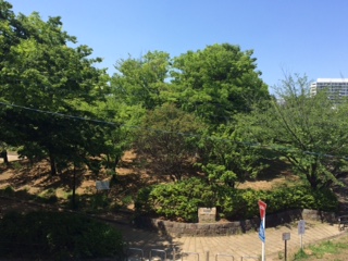 5月だというのに初夏を思わせる陽気