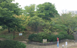 公園は紅葉が始まりました