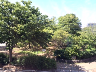 猛暑の季節となりました