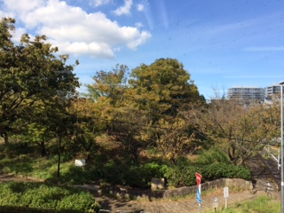 紅葉の季節です！