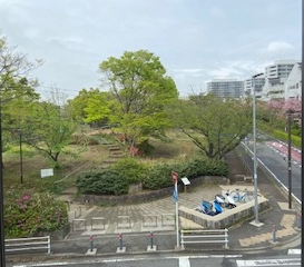 春風が心地よい、今日この頃