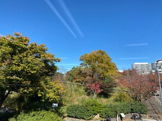 紅葉の季節となりました