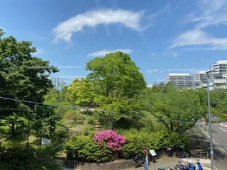 青葉の美しい季節となりました