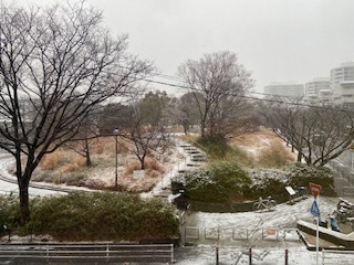 雪景色の公園